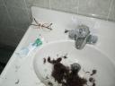 Sink of hair