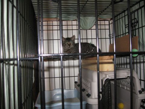 Sammy In Jail