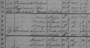 Bublicks and Swedishes in 1906 Census